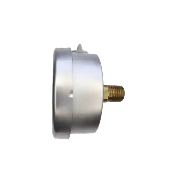 เกจวัดแรงดัน pressure gauge octa nuovafima gbk63 radiusglobal r1 1 555x555